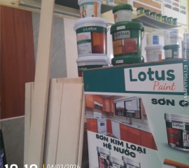 Sơn Lót Giả Gỗ Lotus Paint LMP0 Bách Khoa Bkt
