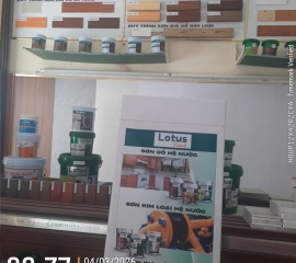 Sơn Lót Lotus Paint Giả Gỗ Bách Khoa Bkt